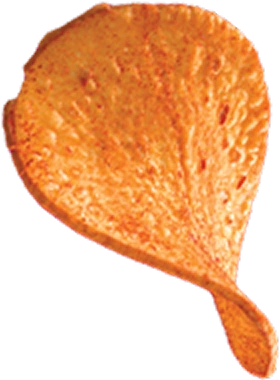 tropical-chips-layer2